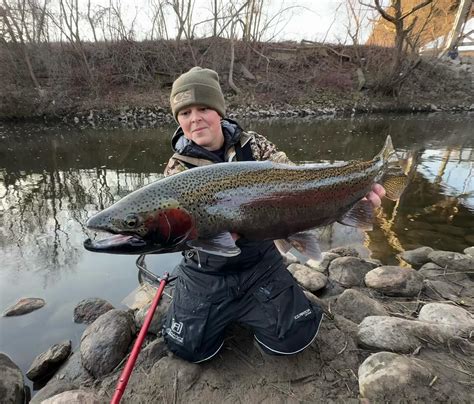 fishnmore murray age|Murray Hebert .